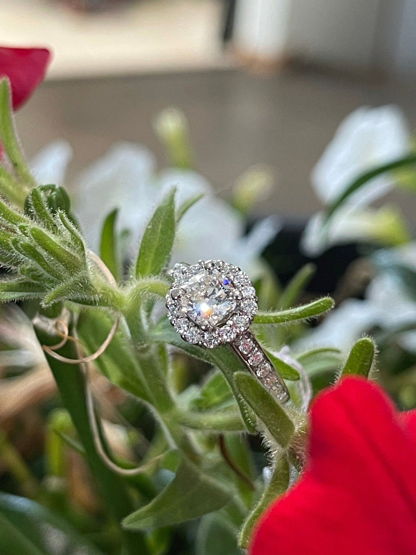 #Product# - #bhjewelry.net#